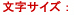 �����̃T�C�Y